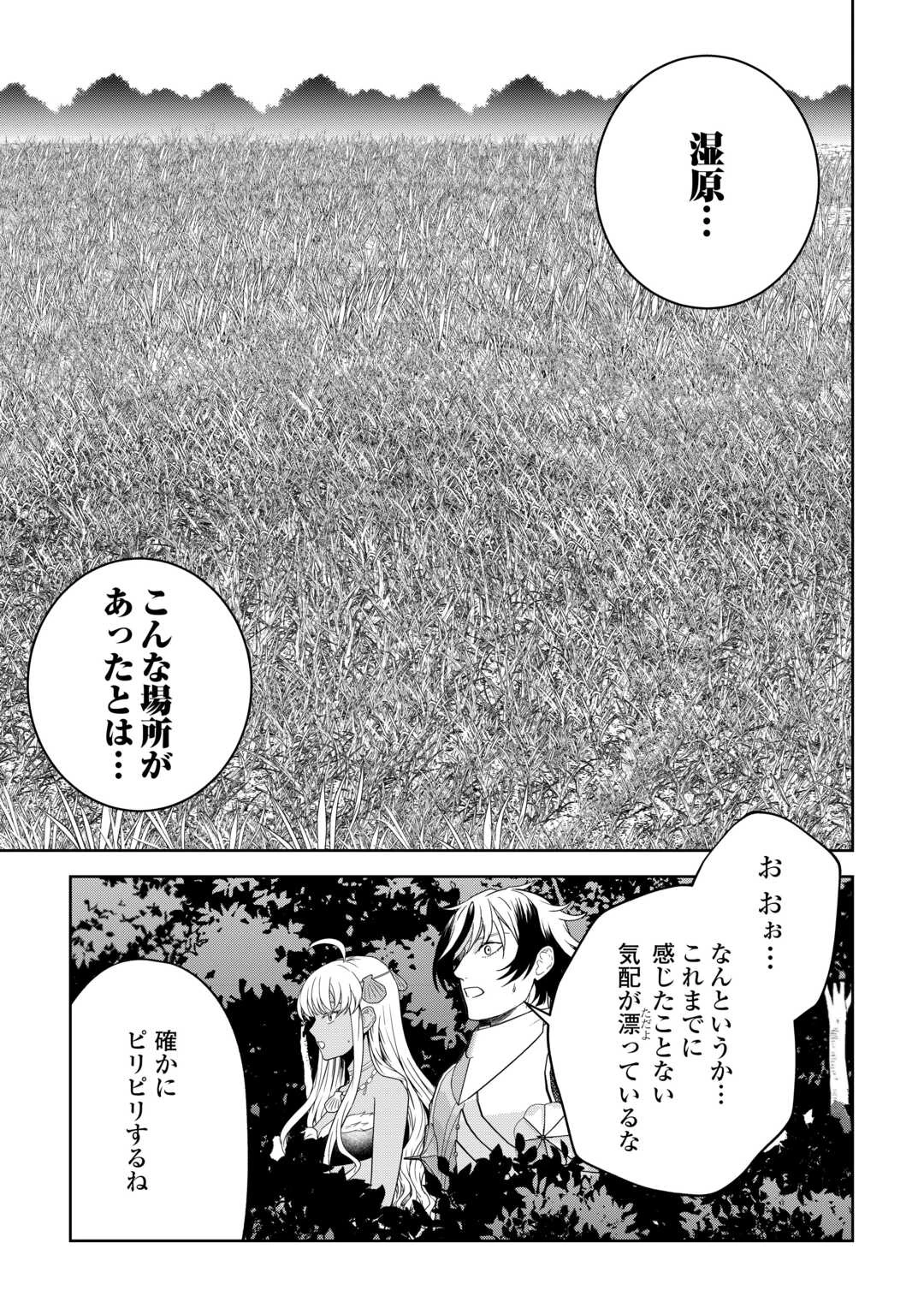 引退賢者はのんびり開拓生活をおくりたい 第18話 - 11