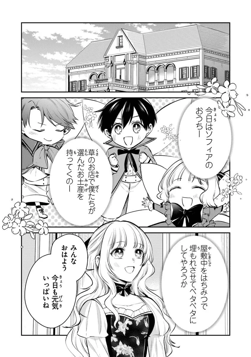 義妹が聖女だからと婚約破棄されましたが、私は妖精の愛し子です 第30.1話 - 2