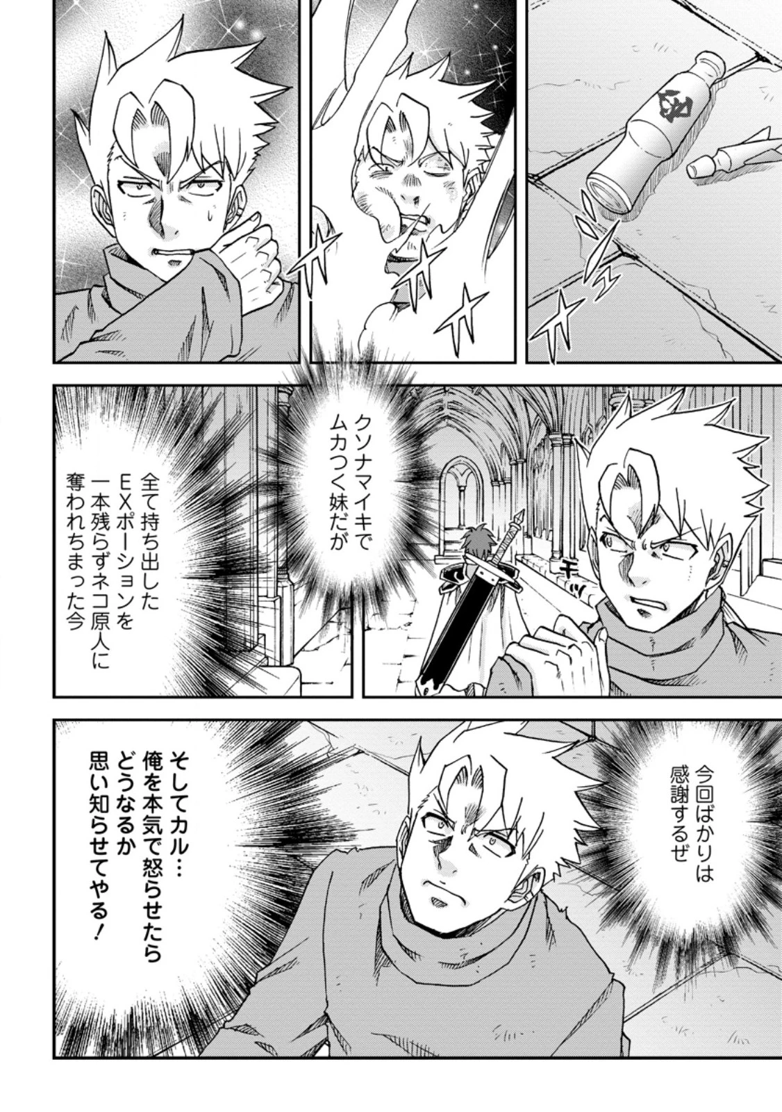 竜王に拾われて魔法を極めた少年、追放を言い渡した家族の前でうっかり無双してしまう～兄上たちが僕の仲間を攻撃するなら、徹底的にやり返します～ 第10.2話 - 2