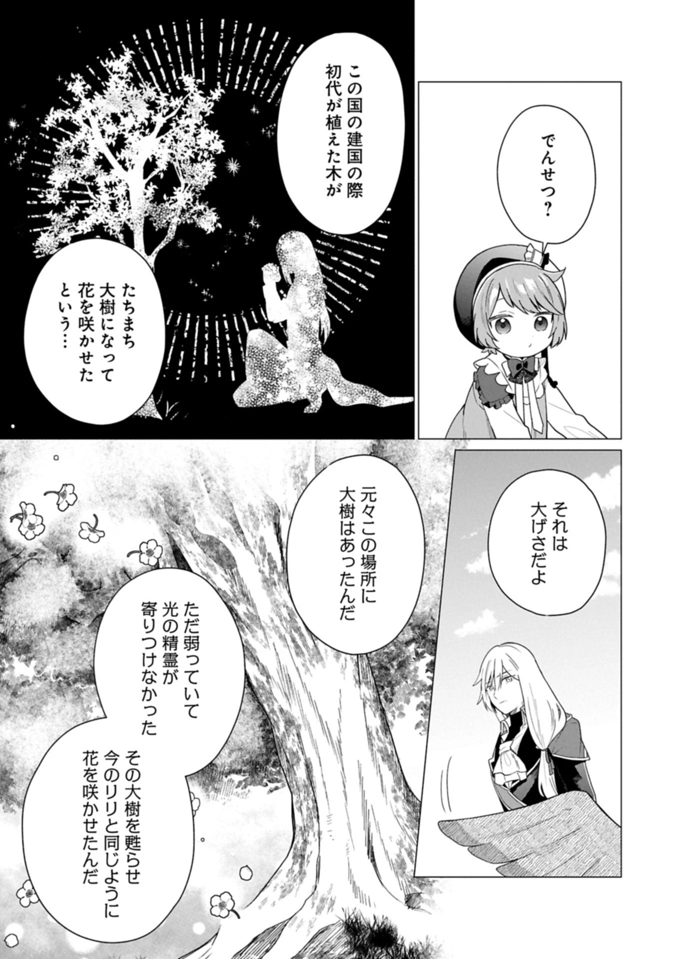 ボクは光の国の転生皇子さま!～溺愛する家族と精霊の加護と共に、ボクの天然チートでお助けします!～ 第4.1話 - 3