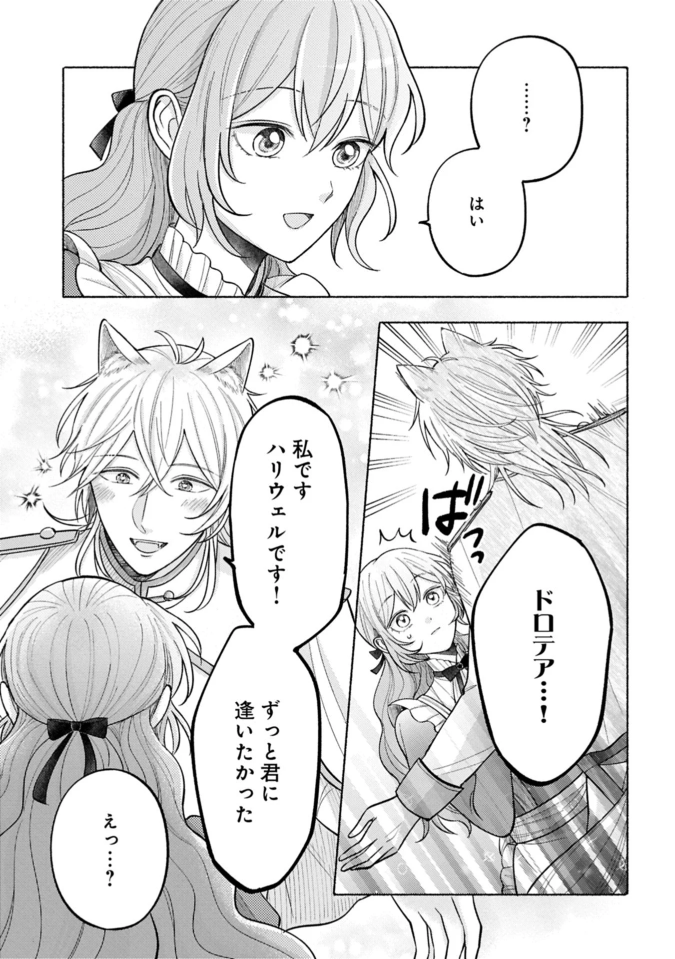 聖女の妹の尻拭いを仰せつかった、ただの侍女でございます～謝罪先の獣人国で何故か黒狼陛下に求愛されました！？～ 第12.2話 - 11