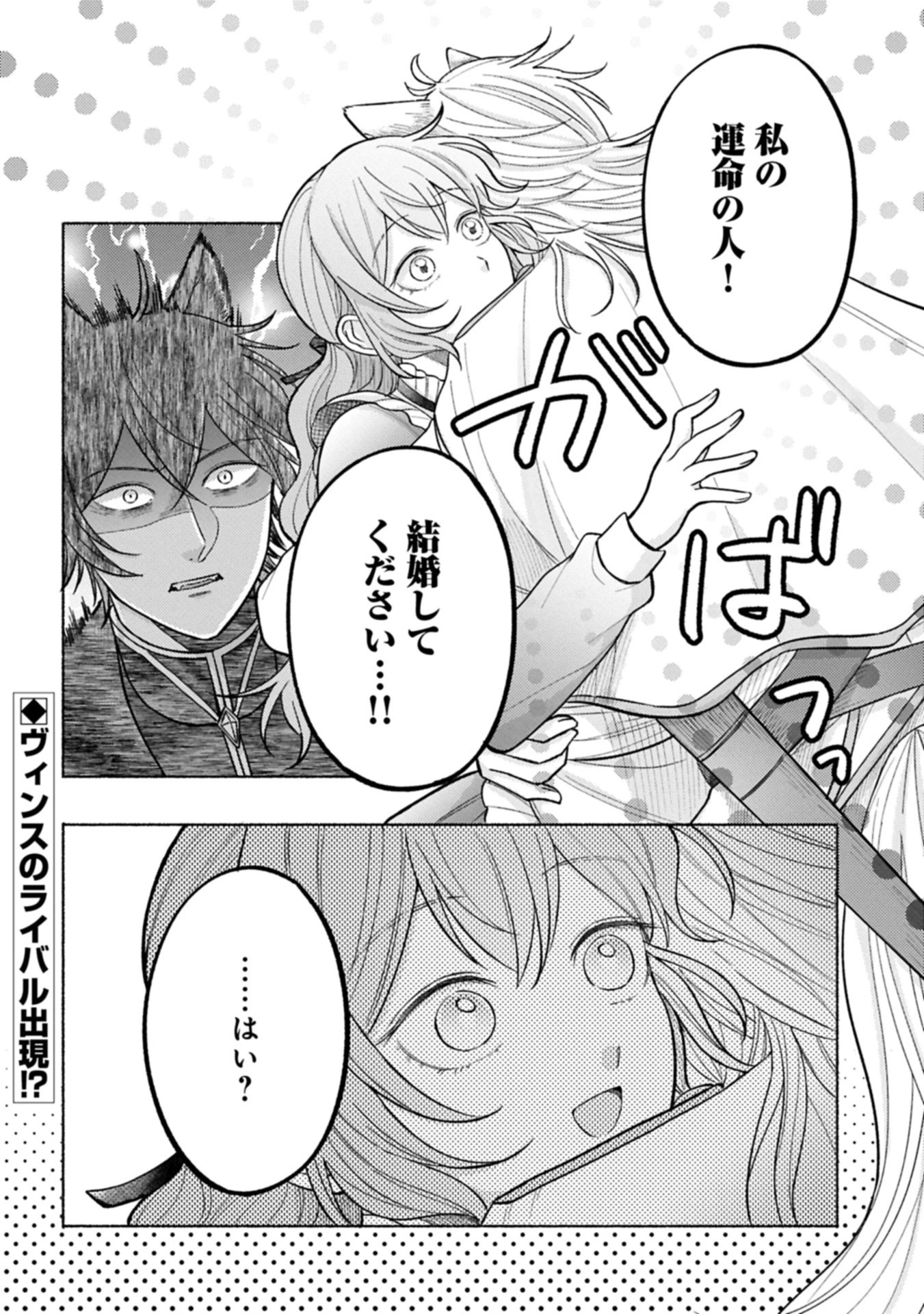 聖女の妹の尻拭いを仰せつかった、ただの侍女でございます～謝罪先の獣人国で何故か黒狼陛下に求愛されました！？～ 第12.2話 - 12