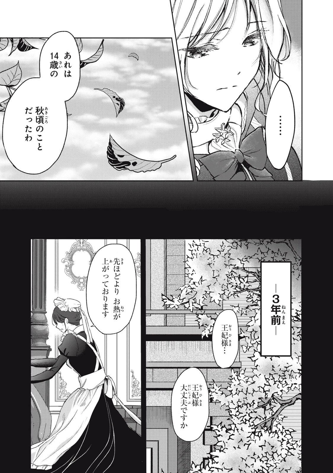 王妃様は離婚したい～異世界から聖女様が来たので、もうお役御免ですわね？～ 第22.1話 - 5