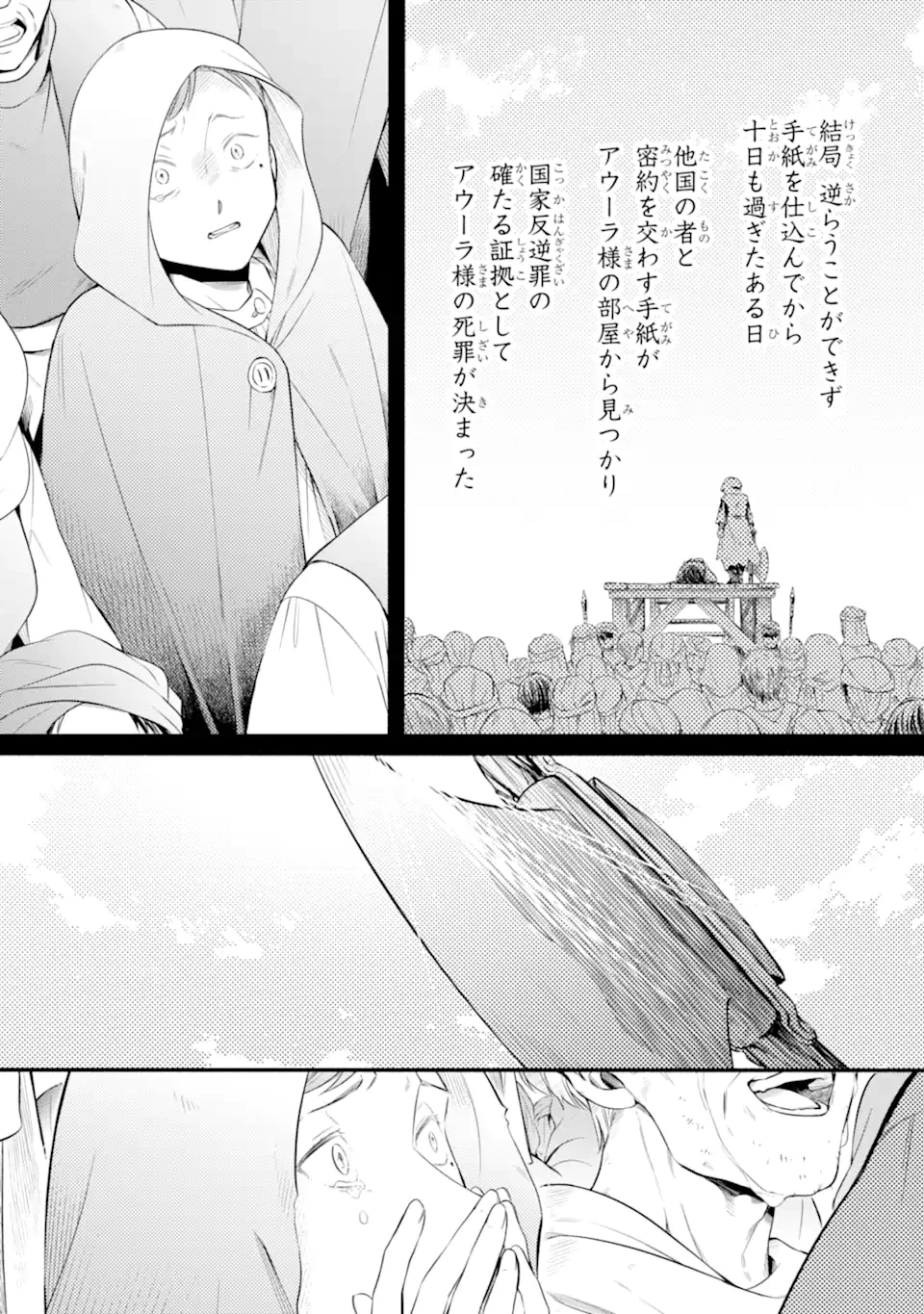 砂漠の国の雨降らし姫～前世で処刑された魔法使いは農家の娘になりました～ 第17.1話 - 3