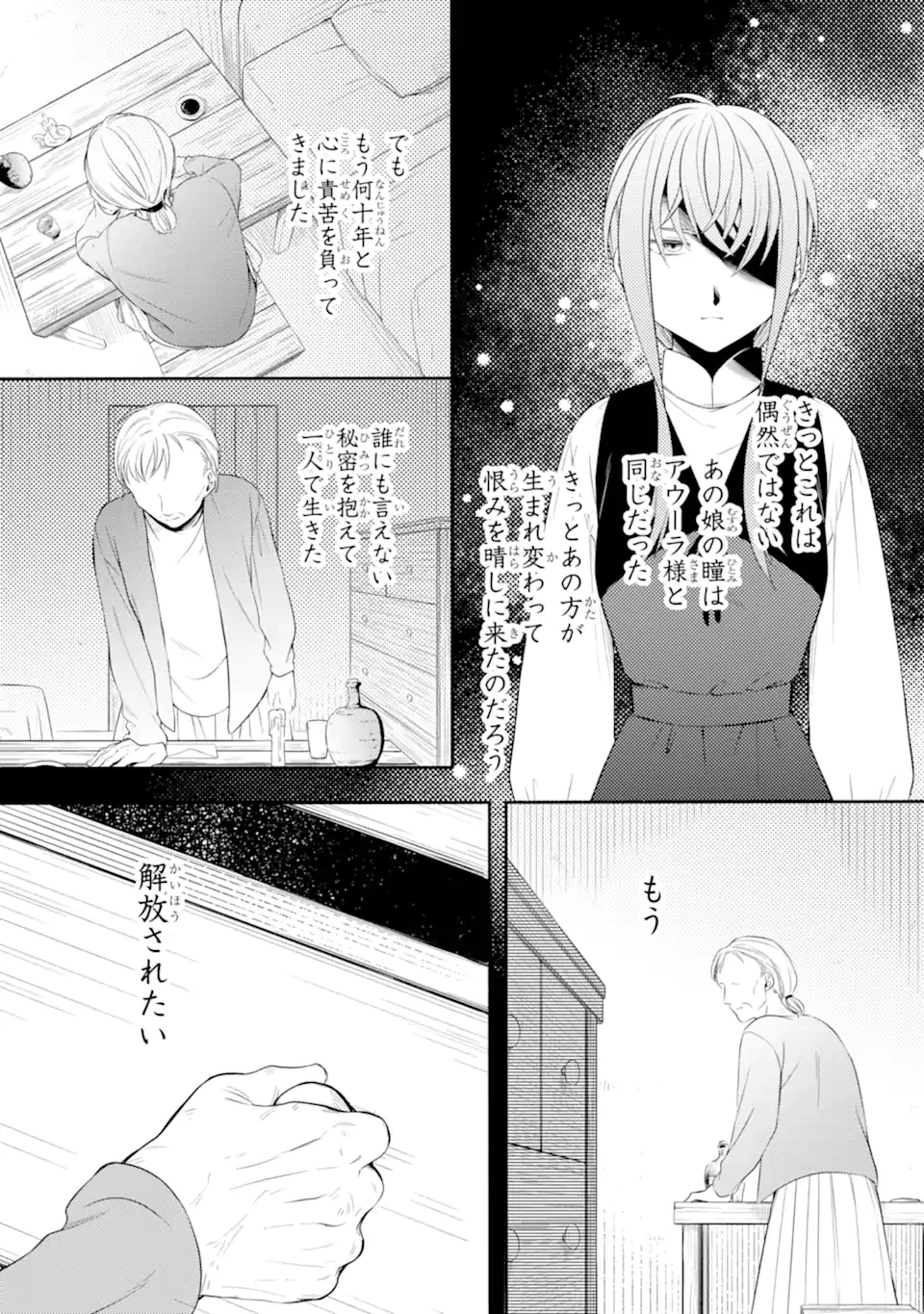 砂漠の国の雨降らし姫～前世で処刑された魔法使いは農家の娘になりました～ 第17.1話 - 5