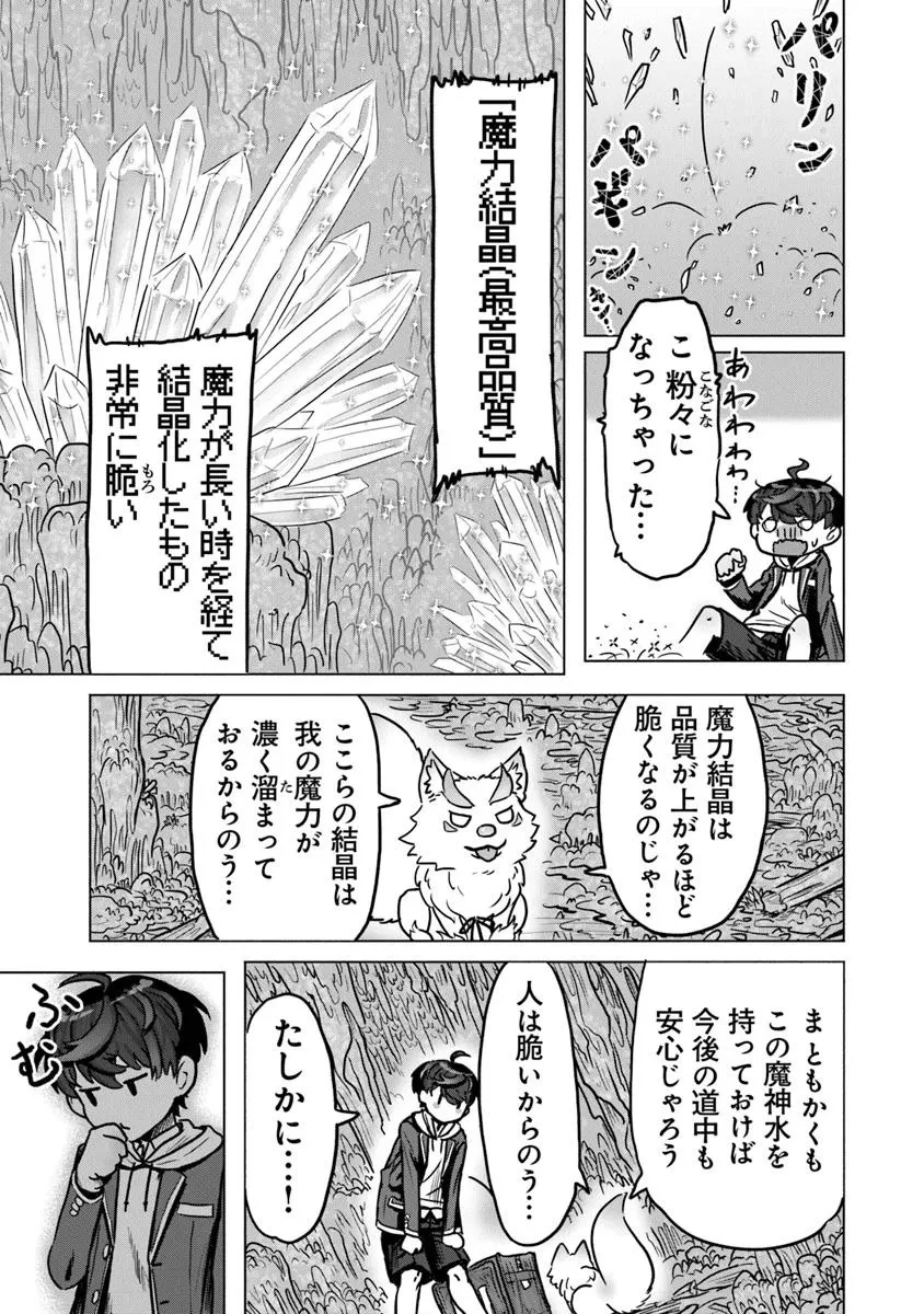 カバンの勇者の異世界のんびり旅 ～実は「カバン」は何でも吸収できるし、日本から何でも取り寄せができるチート武器でした～ 第4話 - 9