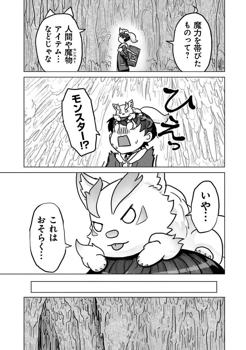 カバンの勇者の異世界のんびり旅 ～実は「カバン」は何でも吸収できるし、日本から何でも取り寄せができるチート武器でした～ 第4話 - 17