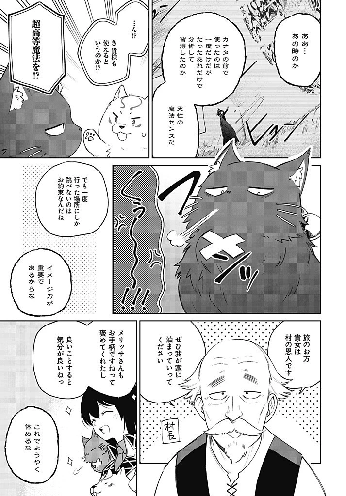 聖女さま？いいえ、通りすがりの魔物使いです！～絶対無敵の聖女はモフモフと旅をする～ 第11.2話 - 29