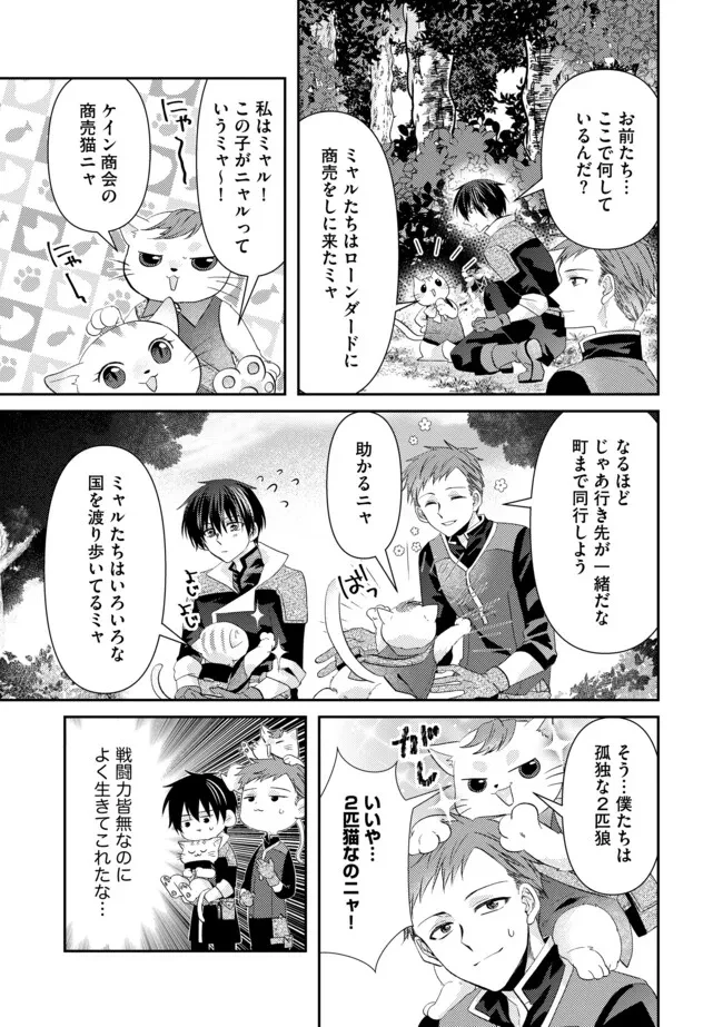 レベルリセット～ゴミスキルだと勘違いしたけれど実はとんでもないチートスキルだった～ 第14.1話 - 5