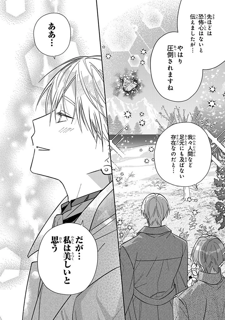 自由気ままな精霊姫 第26.2話 - 10