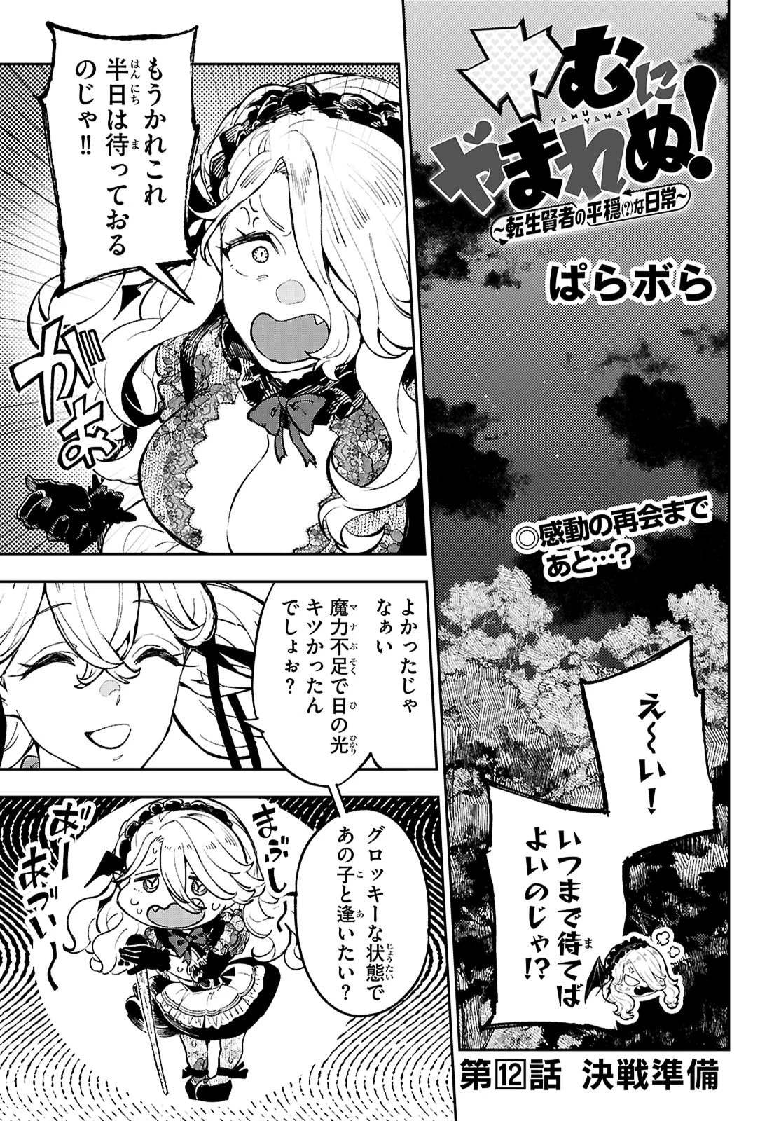 ヤむにやまれぬ！～転生賢者の平穏（？）な日常～ 第12話 - 1