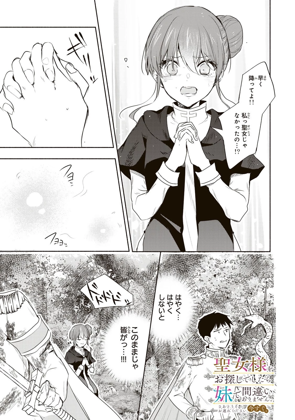 聖女様をお探しでしたら妹で間違いありません。さあどうぞお連れください、今すぐ。 第22.2話 - 1