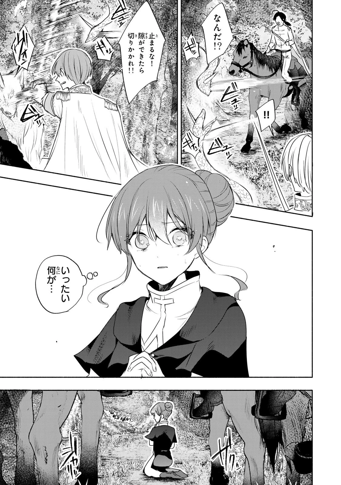 聖女様をお探しでしたら妹で間違いありません。さあどうぞお連れください、今すぐ。 第22.2話 - 3