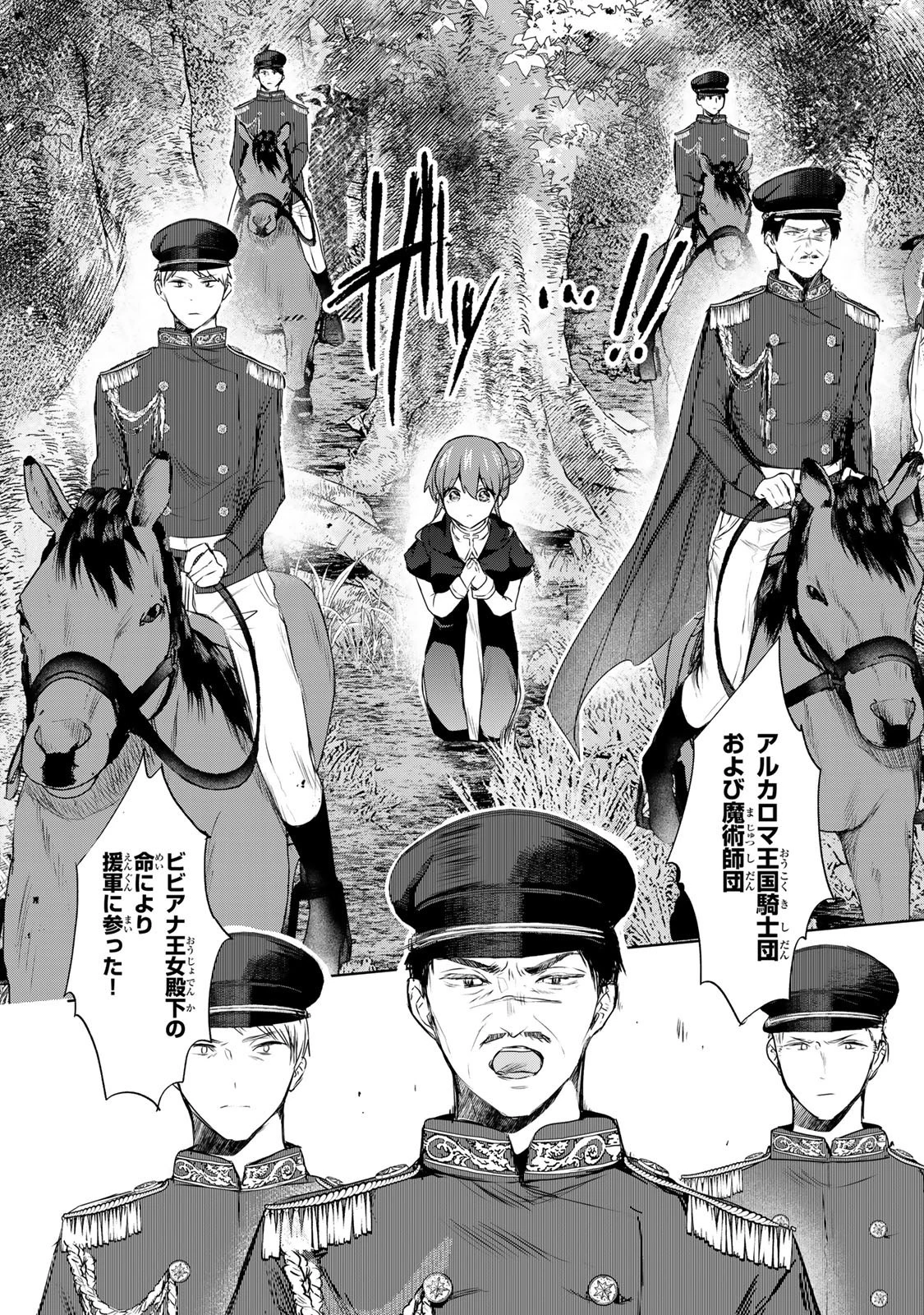 聖女様をお探しでしたら妹で間違いありません。さあどうぞお連れください、今すぐ。 第22.2話 - 4