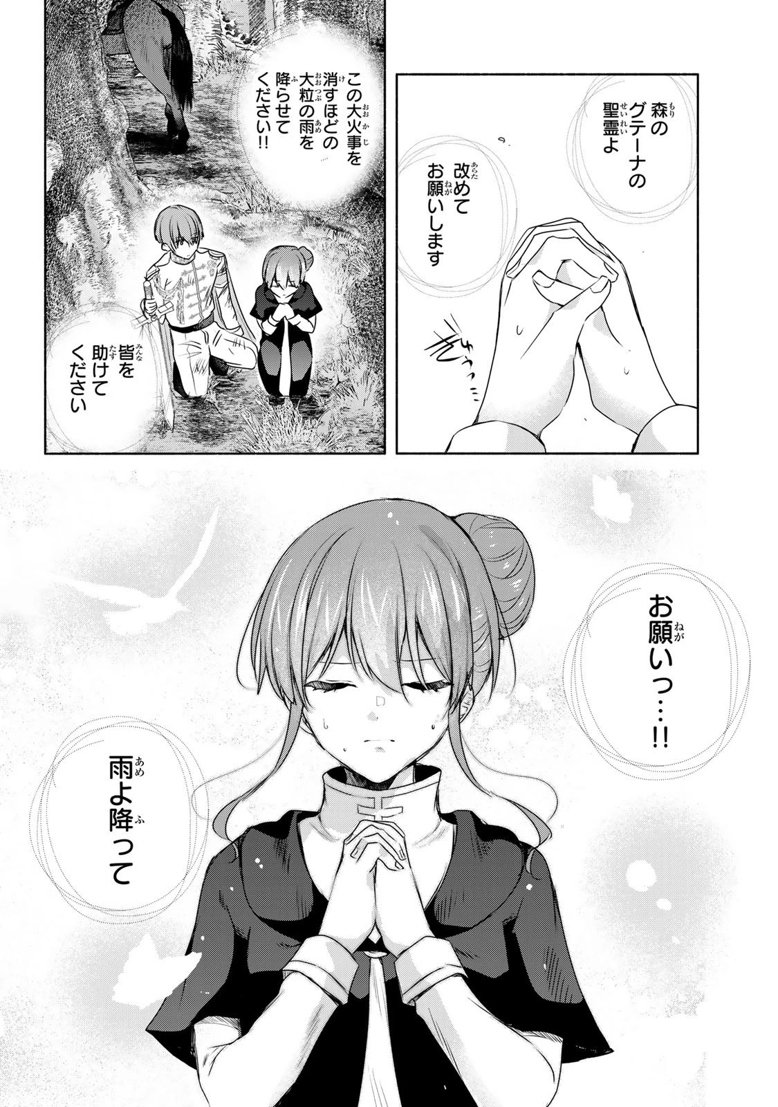 聖女様をお探しでしたら妹で間違いありません。さあどうぞお連れください、今すぐ。 第22.2話 - 6