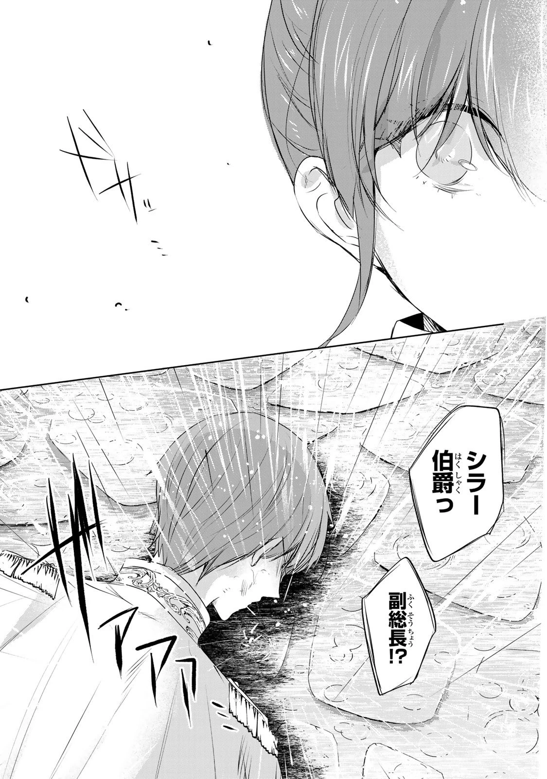 聖女様をお探しでしたら妹で間違いありません。さあどうぞお連れください、今すぐ。 第22.2話 - 14