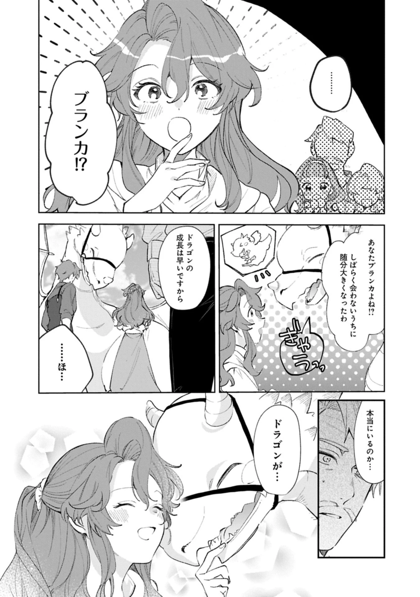 辺境の貧乏伯爵に嫁ぐことになったので領地改革に励みます 第18.2話 - 5