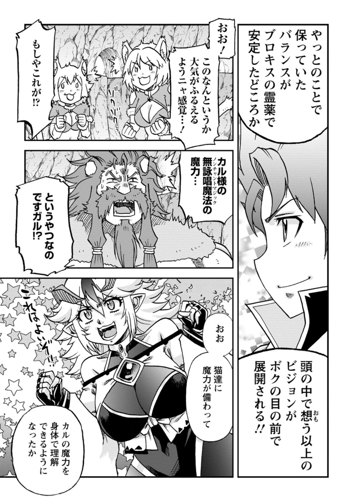 竜王に拾われて魔法を極めた少年、追放を言い渡した家族の前でうっかり無双してしまう～兄上たちが僕の仲間を攻撃するなら、徹底的にやり返します～ 第10.3話 - 9