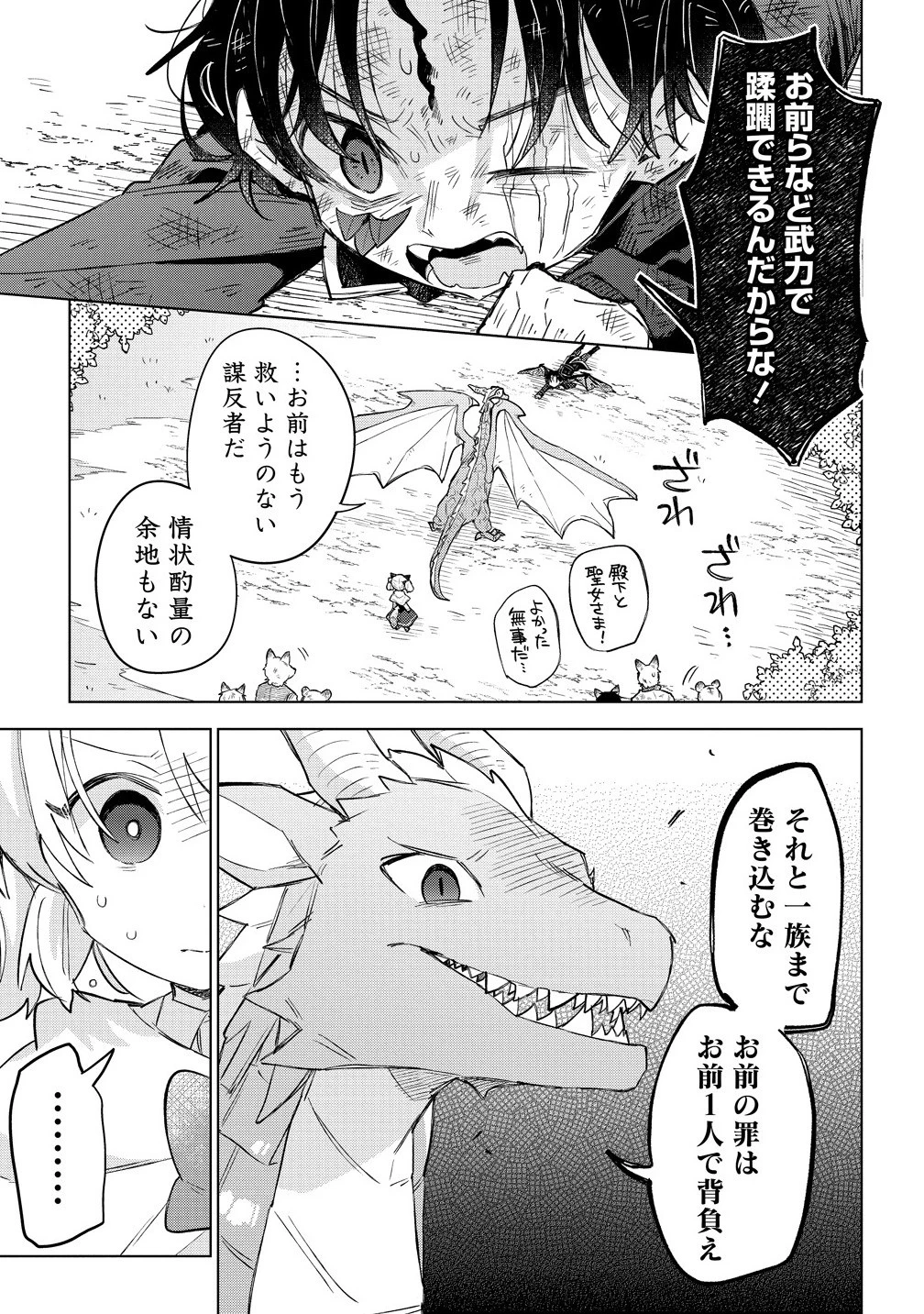 猫耳少女は森でスローライフを送りたい ～もふもふは所望しましたが、聖女とか王子様とかは注文外です～ 第14話 - 3