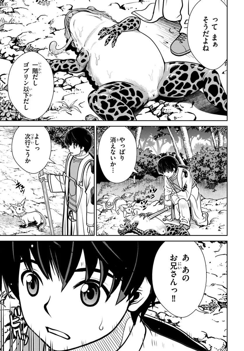 極振り拒否して手探りスタート！　特化しないヒーラー、仲間と別れて旅に出る 第64話 - 23