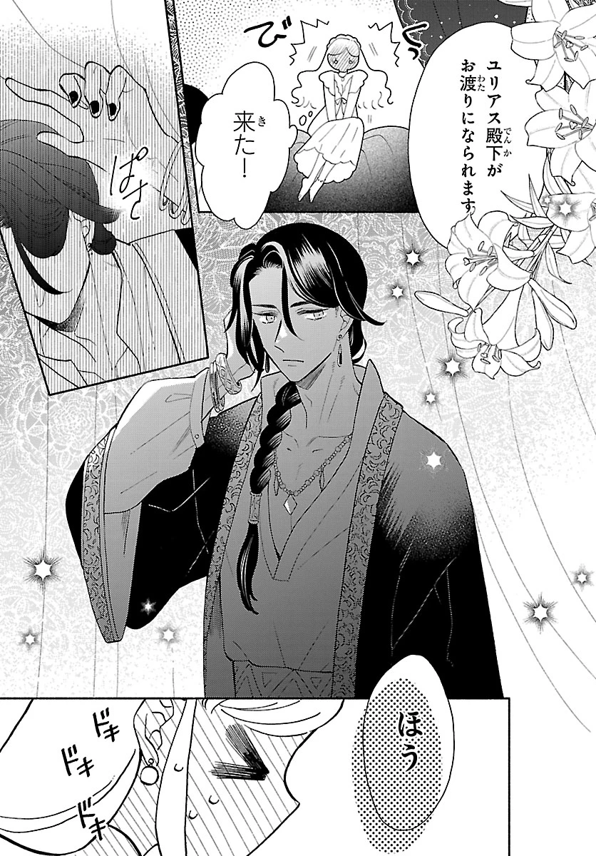 獣王子の偽恋花嫁 第1話 - 27