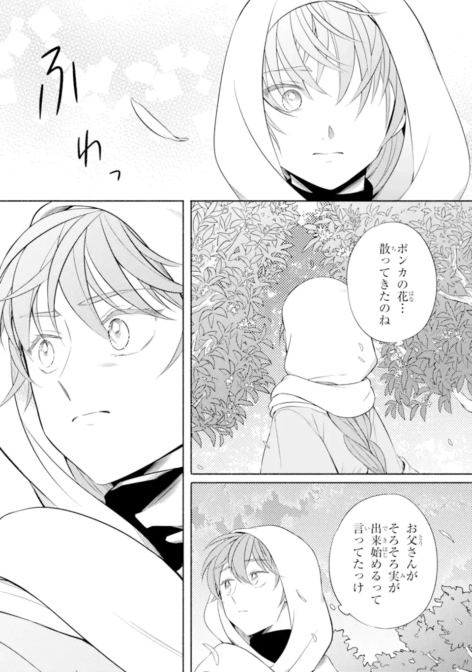 砂漠の国の雨降らし姫～前世で処刑された魔法使いは農家の娘になりました～ 第17.3話 - 9