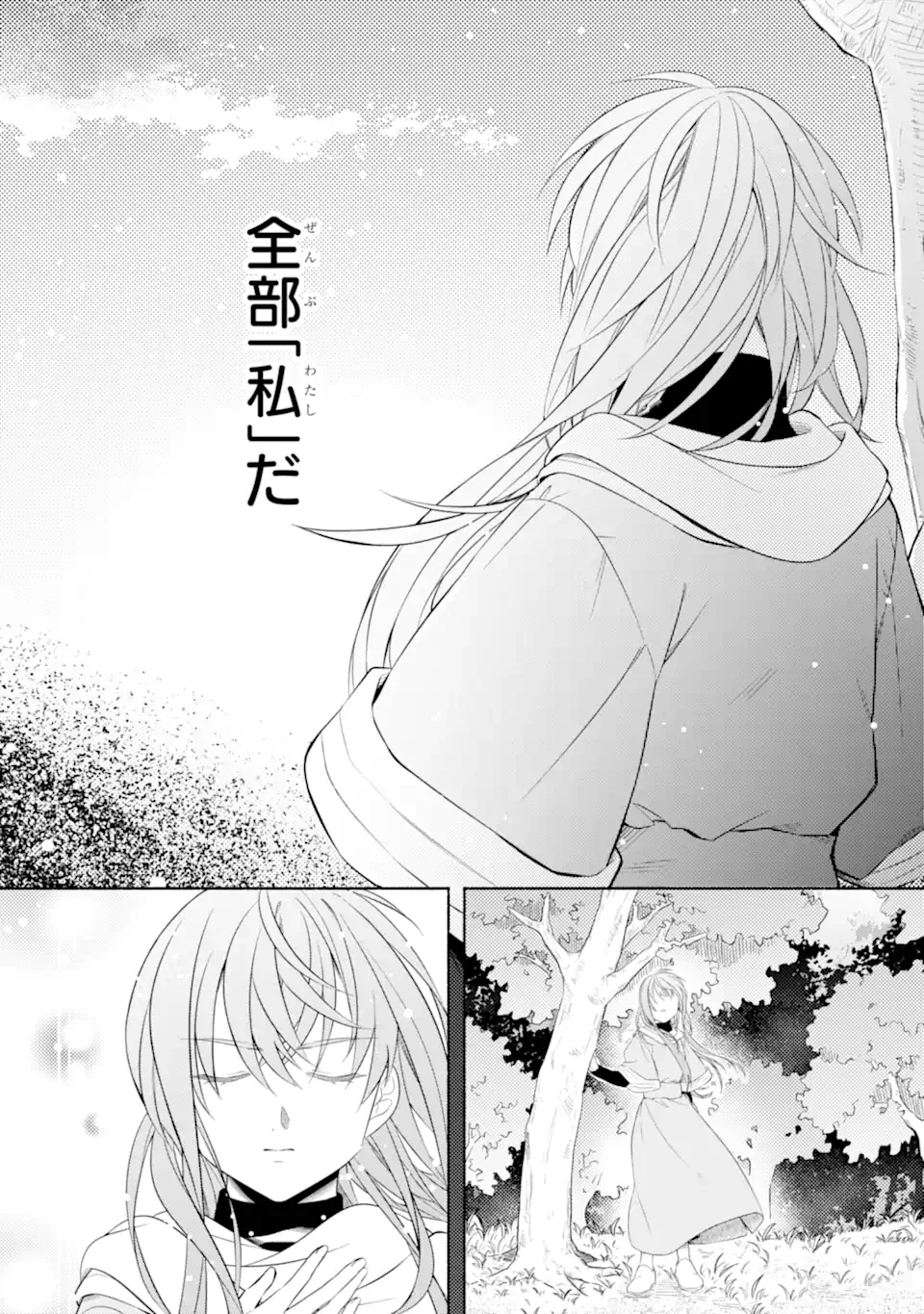 砂漠の国の雨降らし姫～前世で処刑された魔法使いは農家の娘になりました～ 第17.3話 - 11