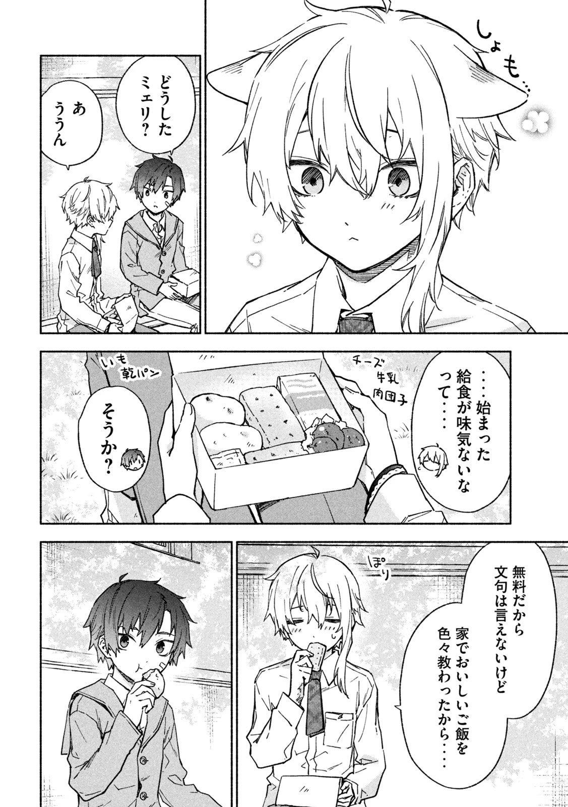 灰と銀の羽根 第11話 - 20