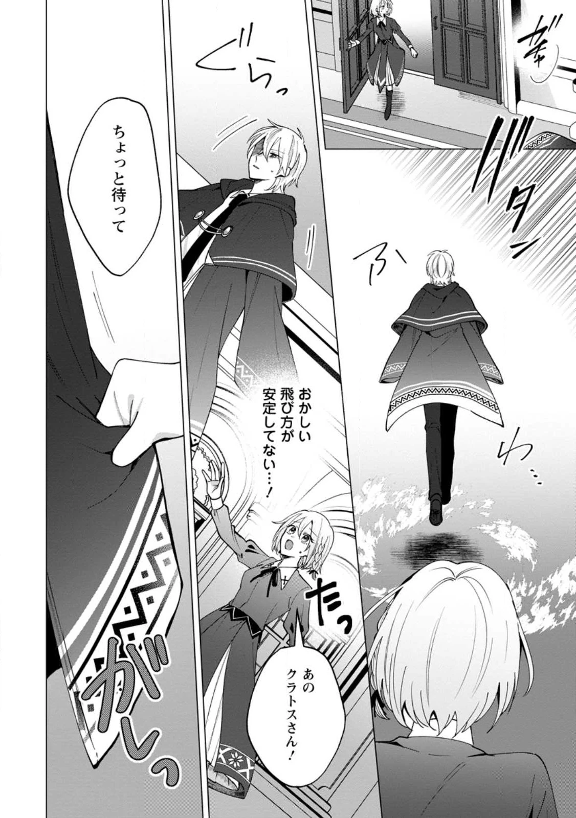 捨てられ聖女のもふもふ保護活動〜天才魔法使いと幻獣たちに愛されて幸せになります〜 第2.2話 - 8