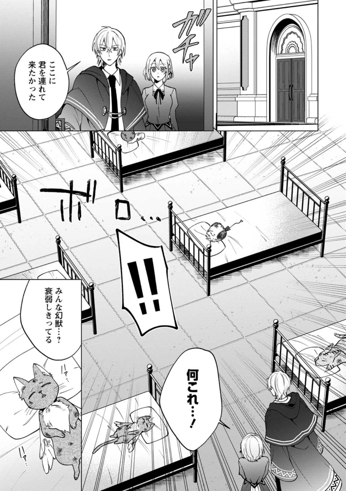 捨てられ聖女のもふもふ保護活動〜天才魔法使いと幻獣たちに愛されて幸せになります〜 第2.1話 - 9