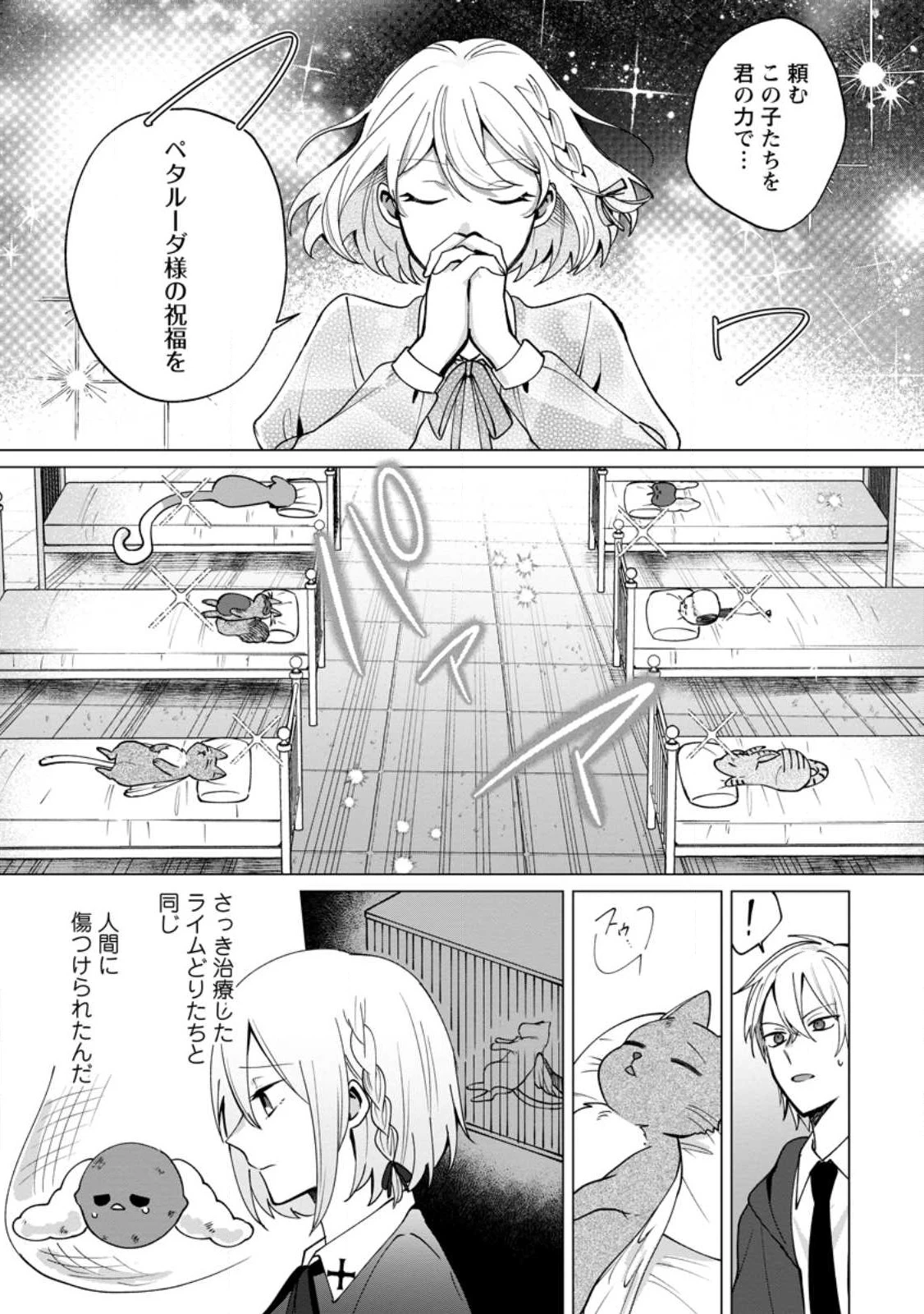 捨てられ聖女のもふもふ保護活動〜天才魔法使いと幻獣たちに愛されて幸せになります〜 第2.1話 - 10