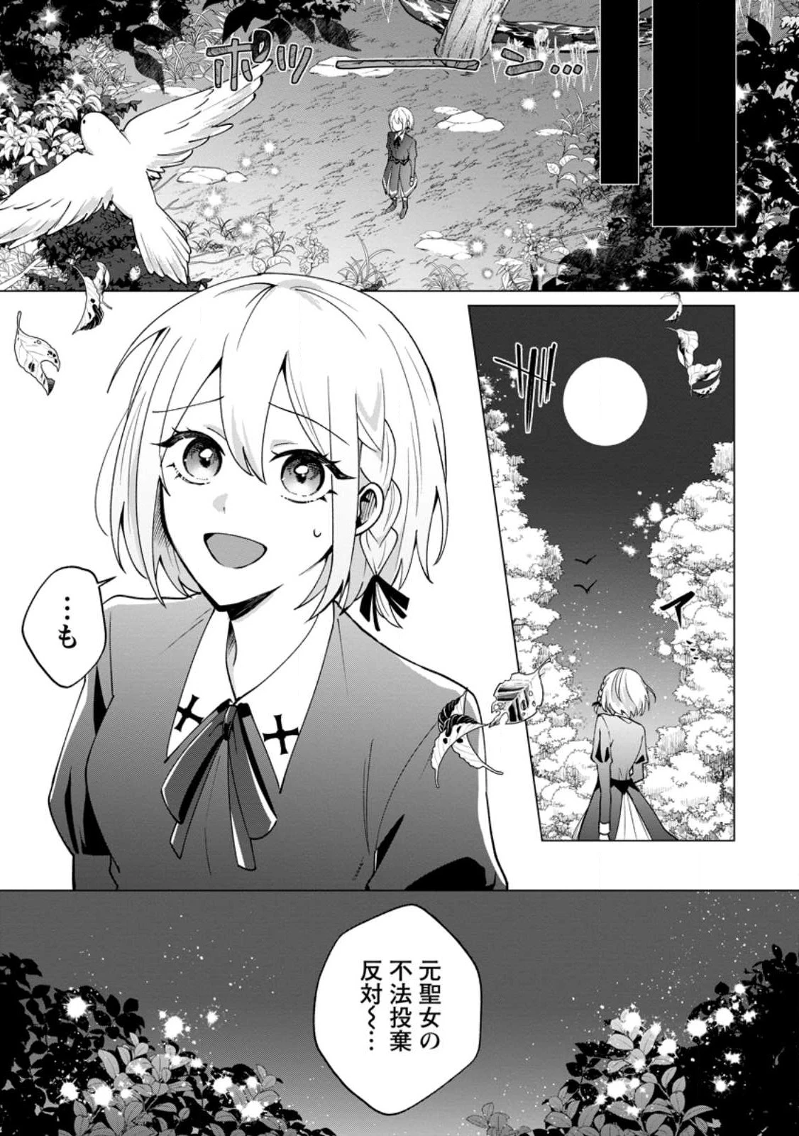 捨てられ聖女のもふもふ保護活動〜天才魔法使いと幻獣たちに愛されて幸せになります〜 第1話 - 7