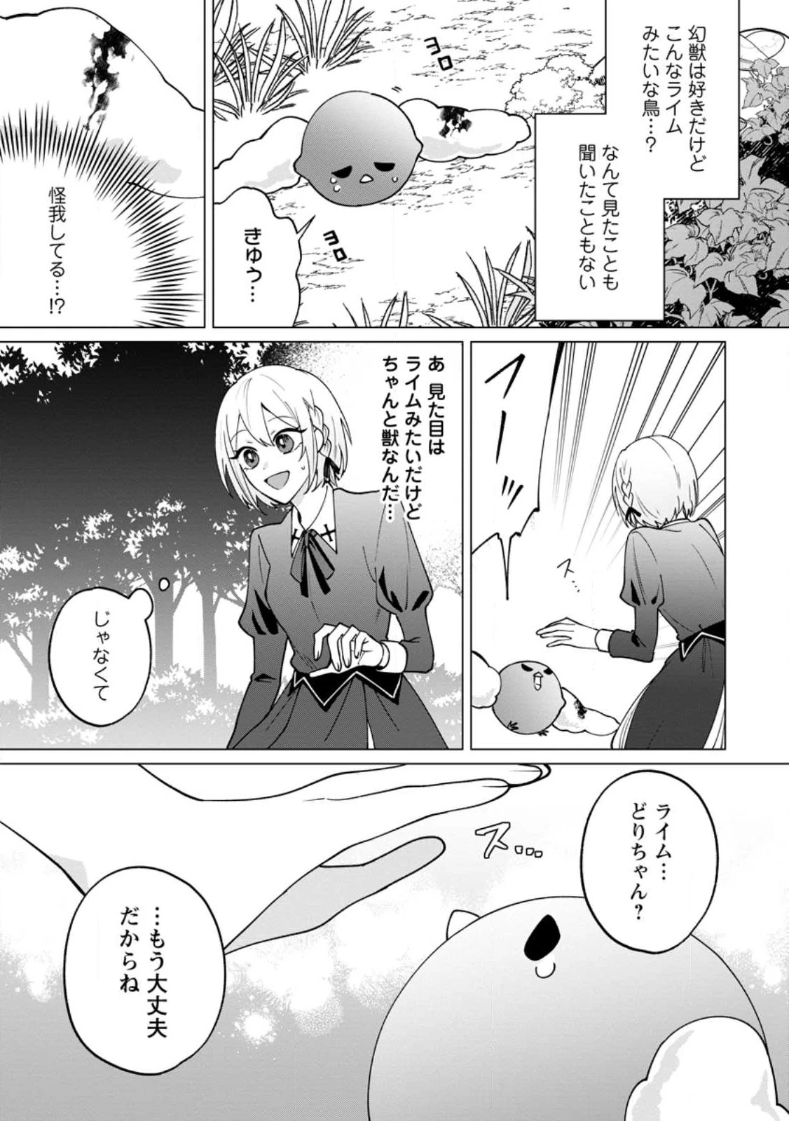 捨てられ聖女のもふもふ保護活動〜天才魔法使いと幻獣たちに愛されて幸せになります〜 第1話 - 11