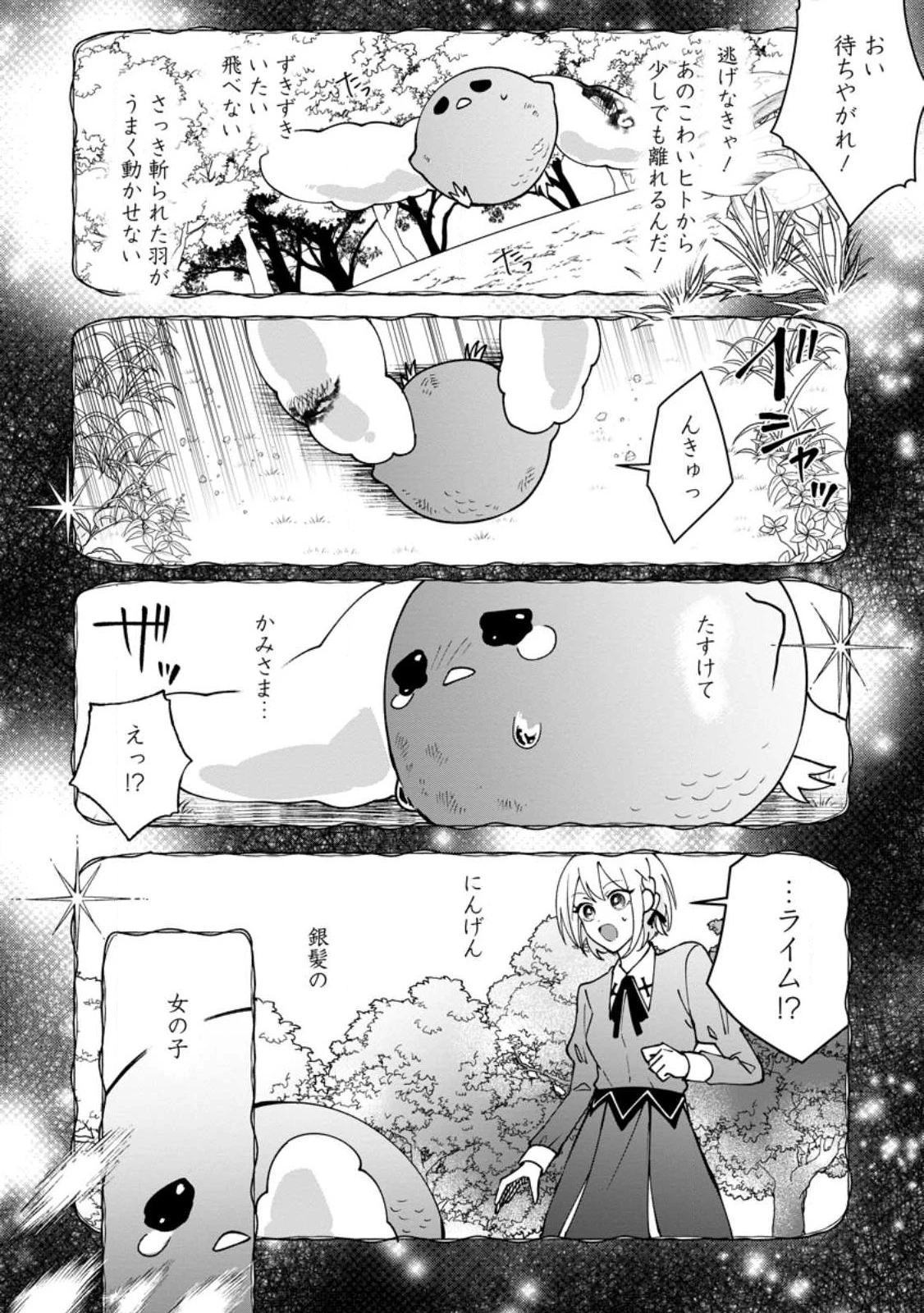 捨てられ聖女のもふもふ保護活動〜天才魔法使いと幻獣たちに愛されて幸せになります〜 第1話 - 14