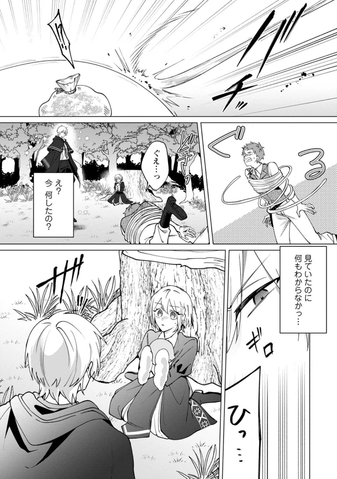 捨てられ聖女のもふもふ保護活動〜天才魔法使いと幻獣たちに愛されて幸せになります〜 第1話 - 26