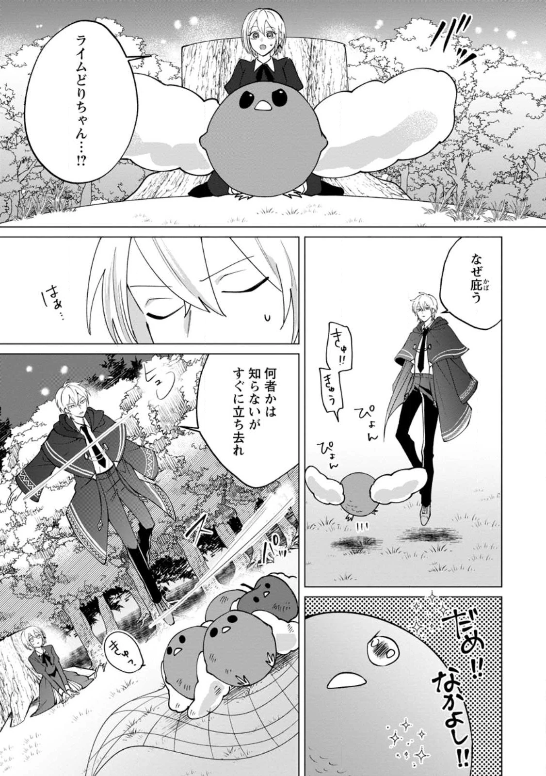 捨てられ聖女のもふもふ保護活動〜天才魔法使いと幻獣たちに愛されて幸せになります〜 第1話 - 29