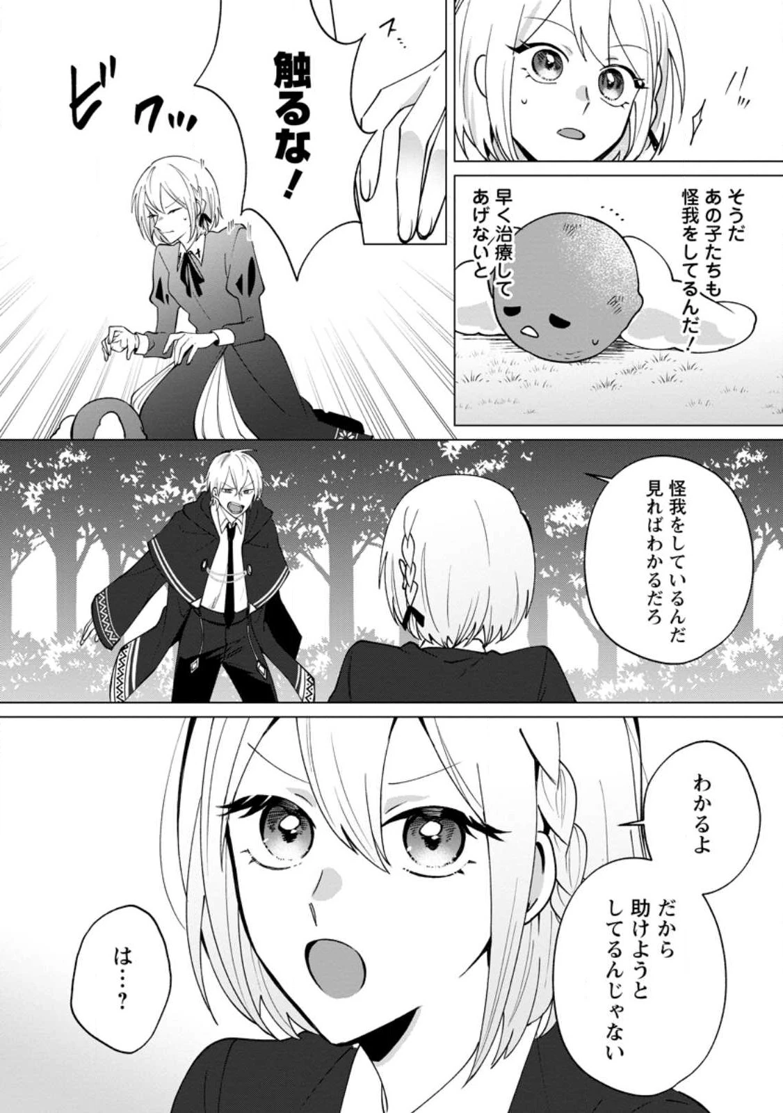 捨てられ聖女のもふもふ保護活動〜天才魔法使いと幻獣たちに愛されて幸せになります〜 第1話 - 30