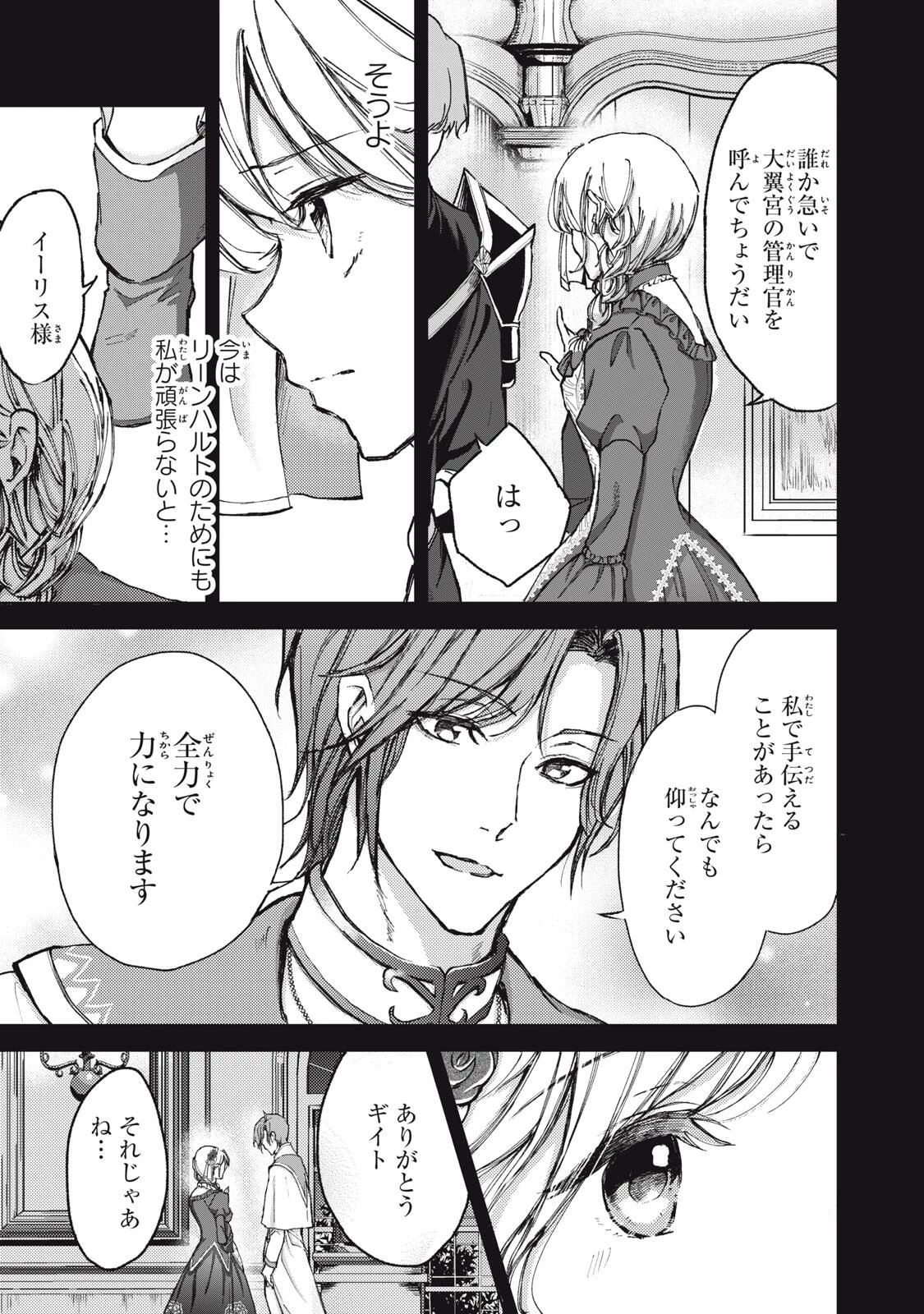 王妃様は離婚したい～異世界から聖女様が来たので、もうお役御免ですわね？～ 第23.1話 - 9