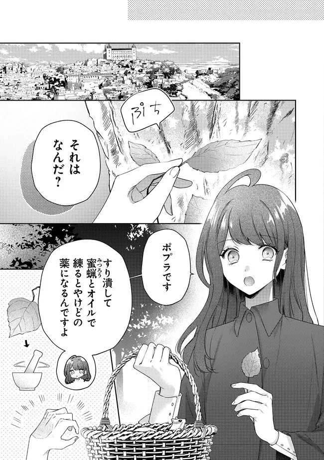 リスになってしまった婚約者が、毛嫌いしていたはずの私に助けを求めてきました。 第5.3話 - 10