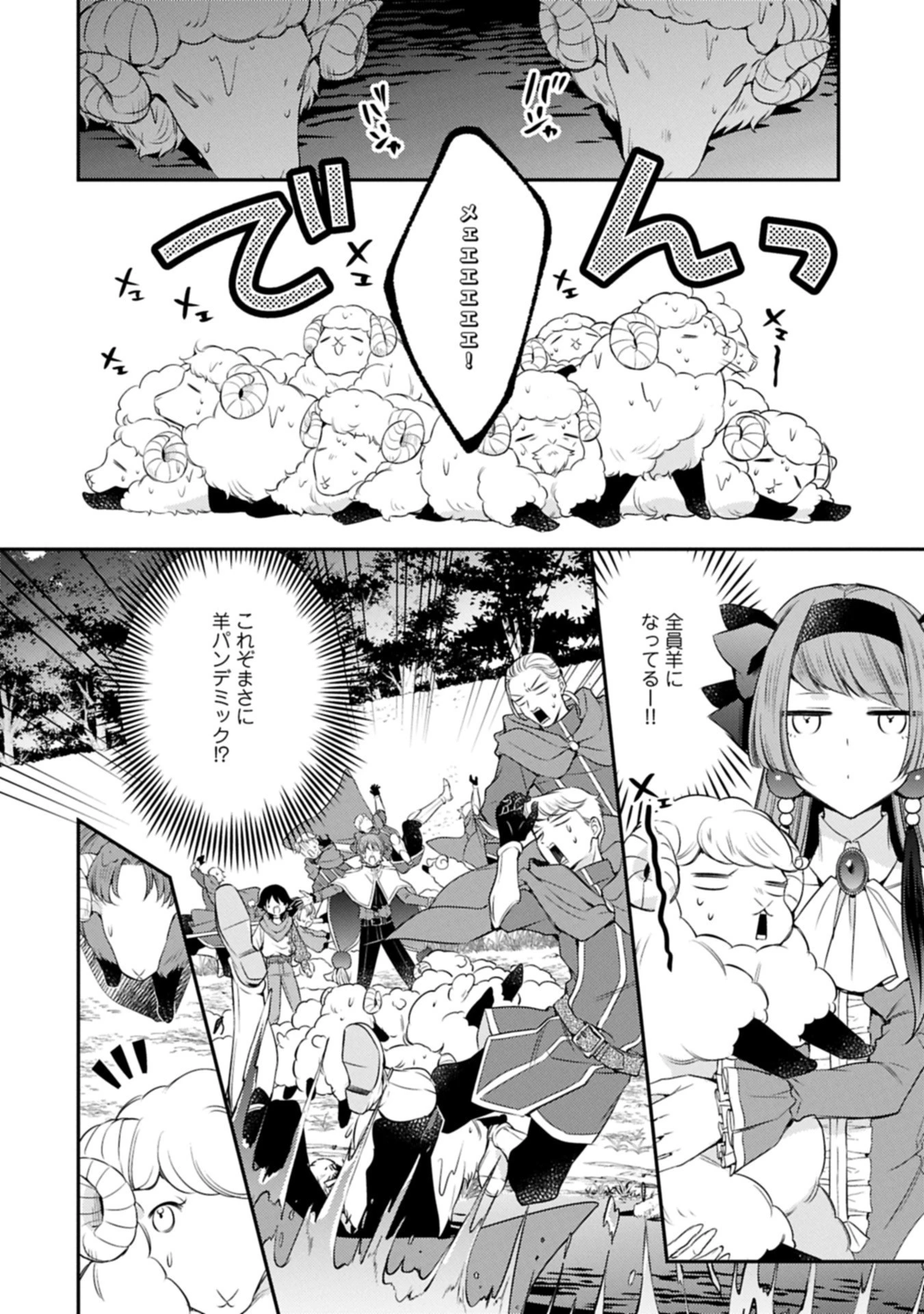 追放された聖女ですが、実は国中から愛されすぎてて怖いんですけど！？～聖女イヴリンと愉快な（？）仲間たち～ 第16.2話 - 14