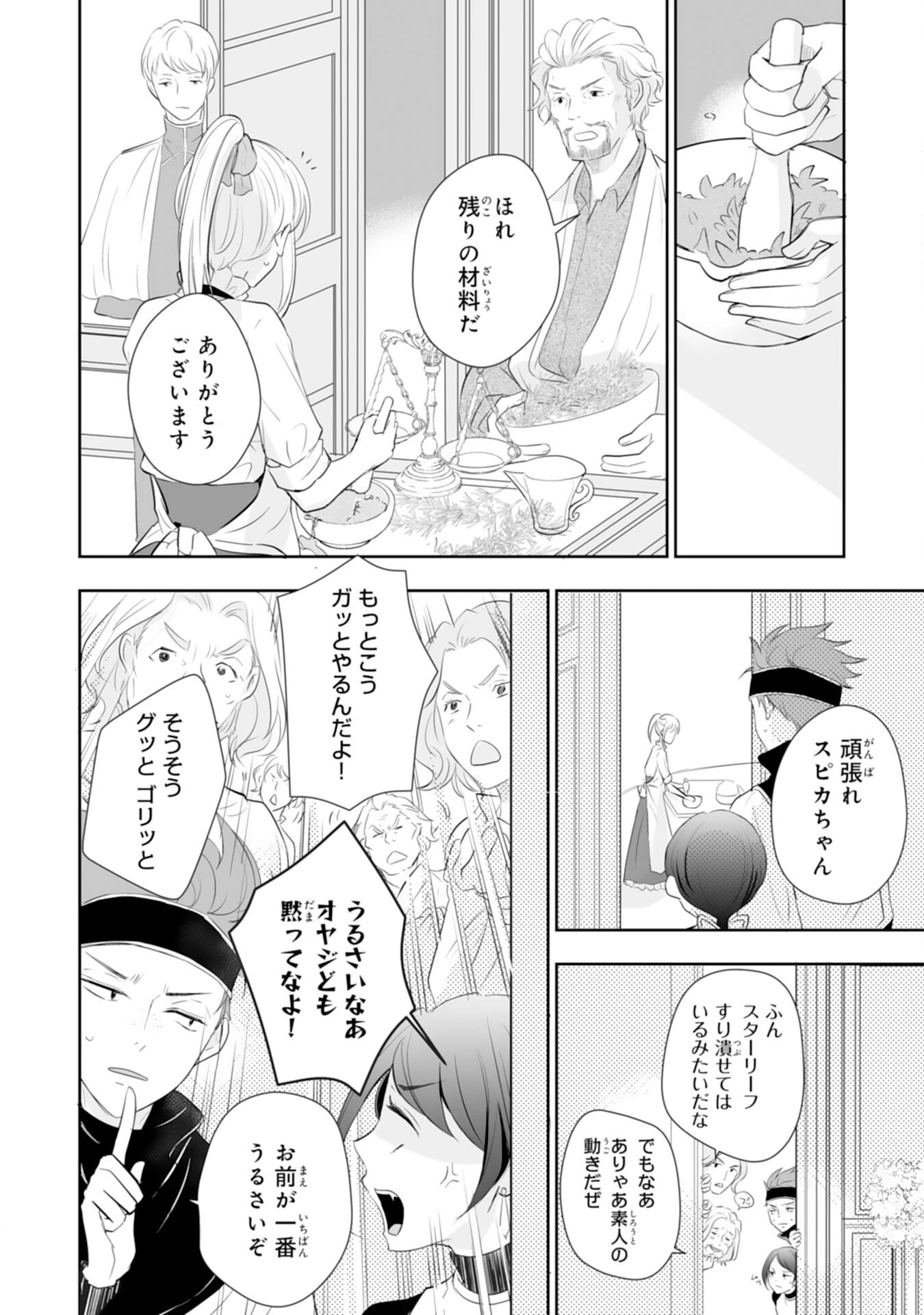 「用済み」聖女と追放されましたが、隣国のお抱え薬師として第二の人生謳歌します！～そちらが追い出したくせに、今さら戻ってこいなんてお断りです！～ 第3話 - 14