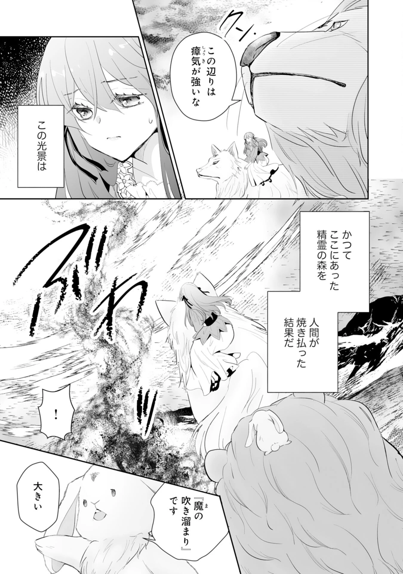 婚約破棄は本望です！聖女の力が開花したので私は自由に暮らします 第10話 - 9