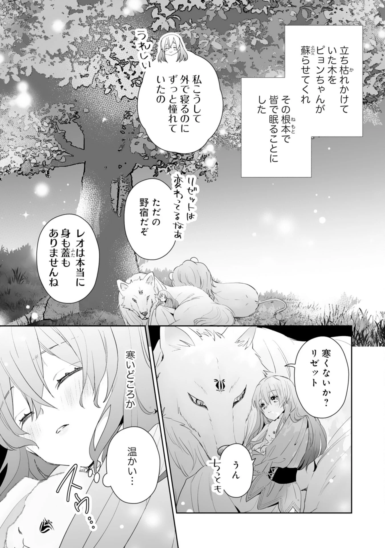 婚約破棄は本望です！聖女の力が開花したので私は自由に暮らします 第10話 - 31