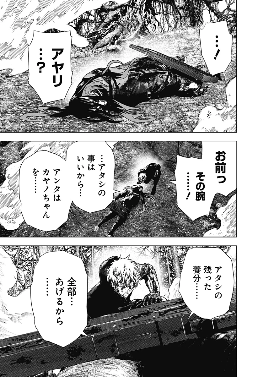 ワイルドストロベリー 第48話 - 5