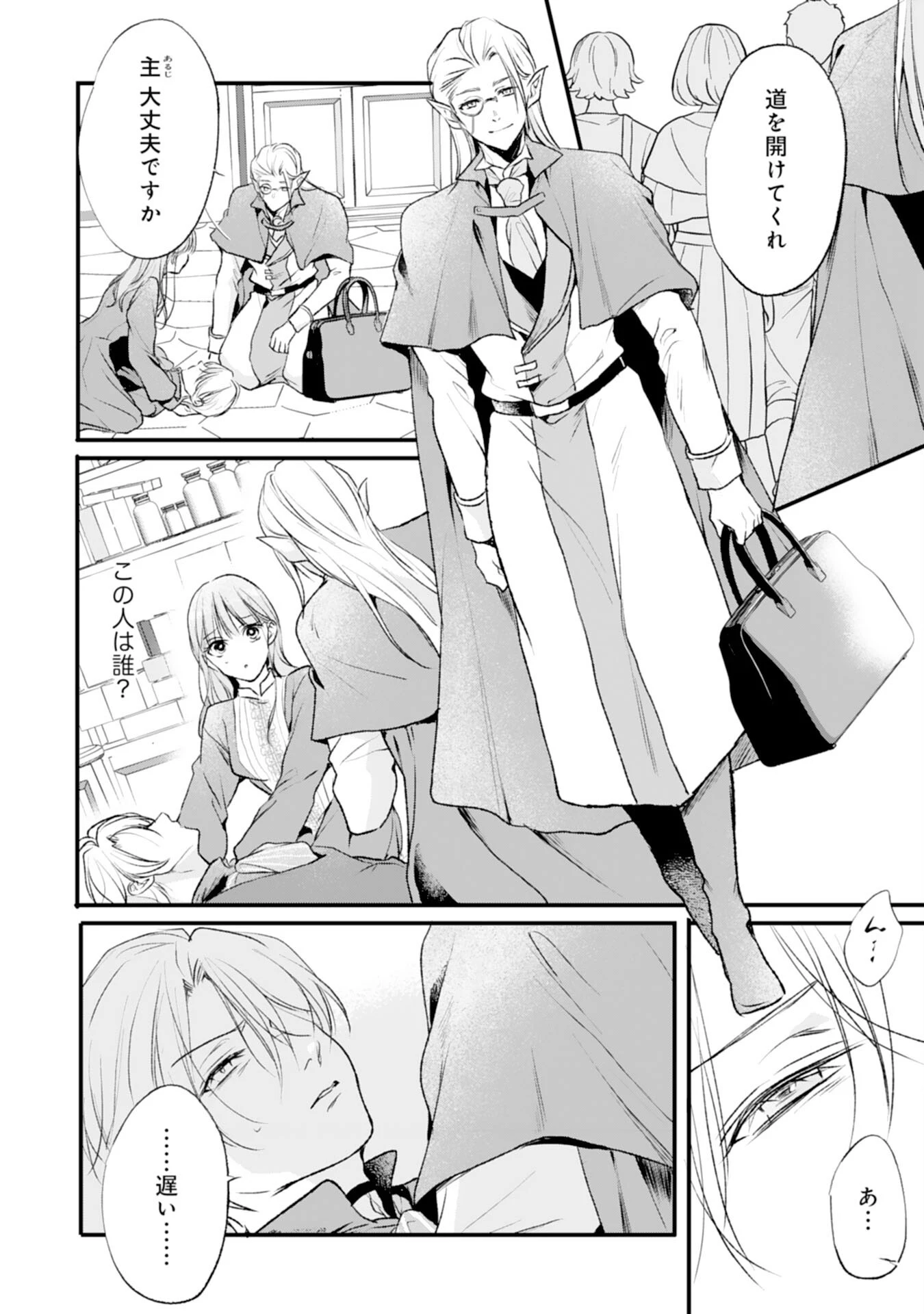 悪女のレッテルを貼られた追放令嬢ですが、最恐陛下の溺愛に捕まりました 第12話 - 4