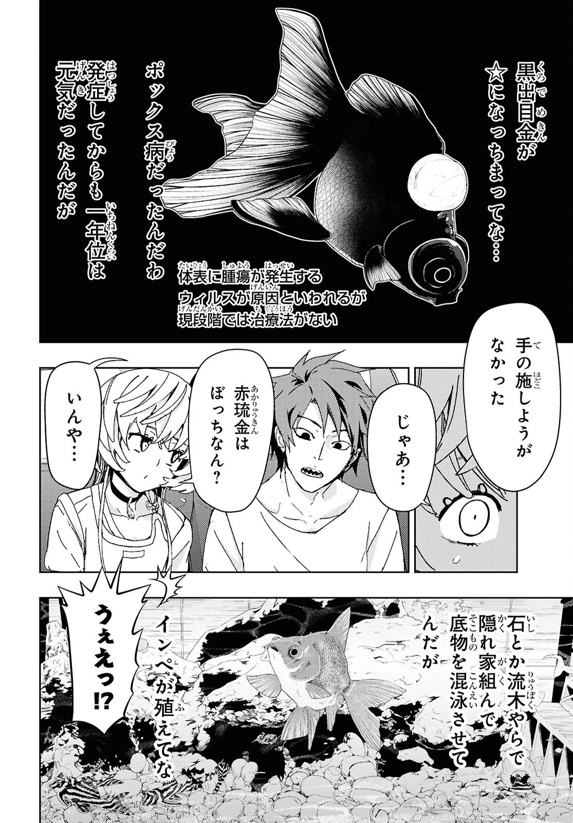 よぅ、アクアリスト 第23話 - 10