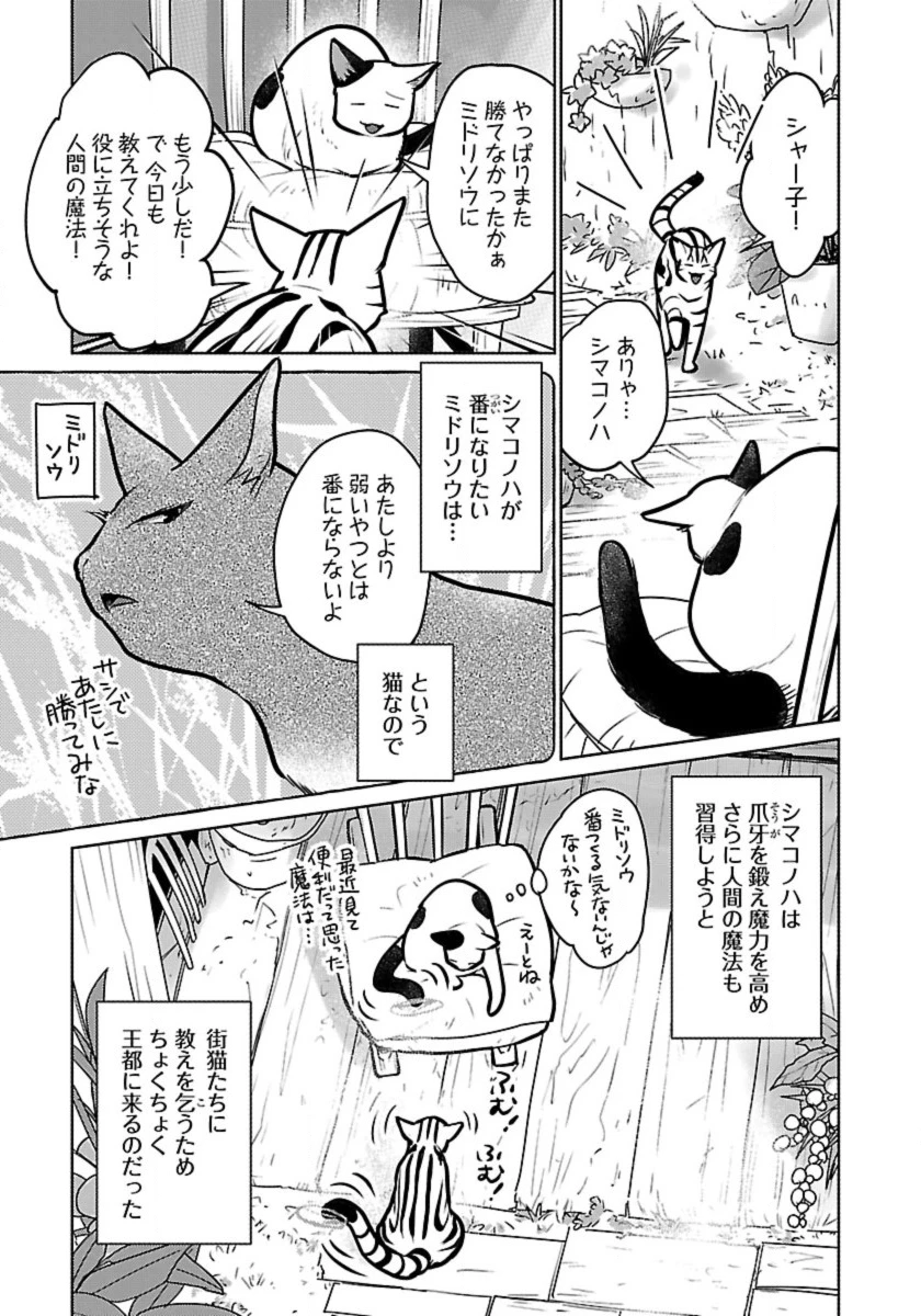 猫と竜 第45話 - 5