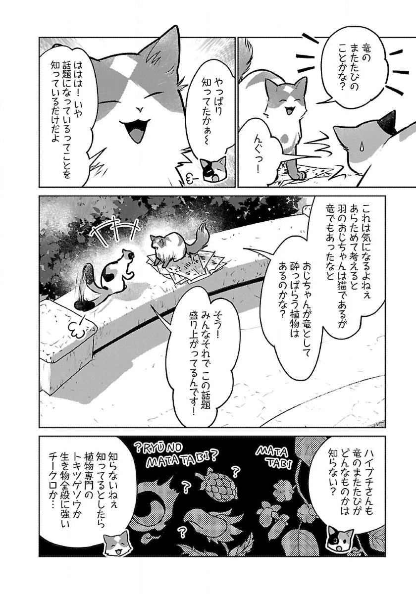 猫と竜 第45話 - 8