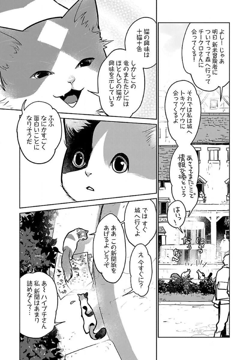 猫と竜 第45話 - 9