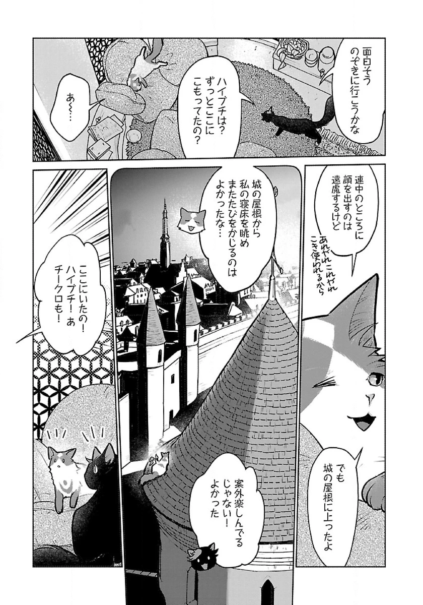 猫と竜 第45話 - 23